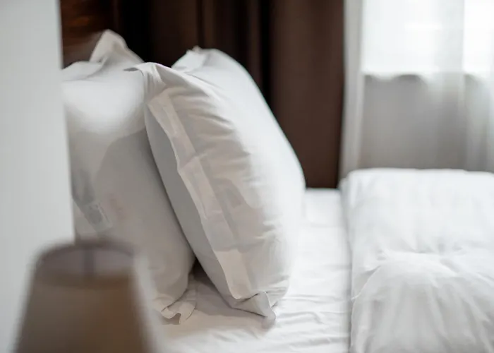 Palazzo Roma- Luxury Leading 4* تيرانا